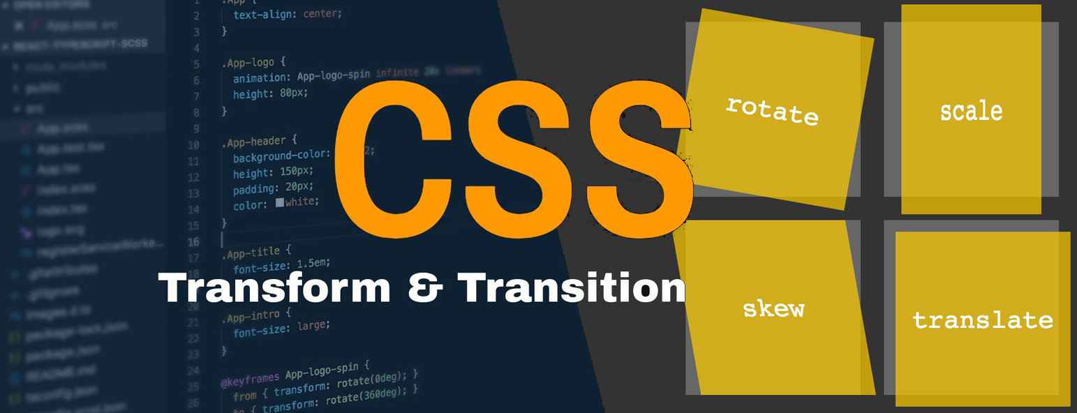 CSS Transform and Transition | Blog | CodeCoda